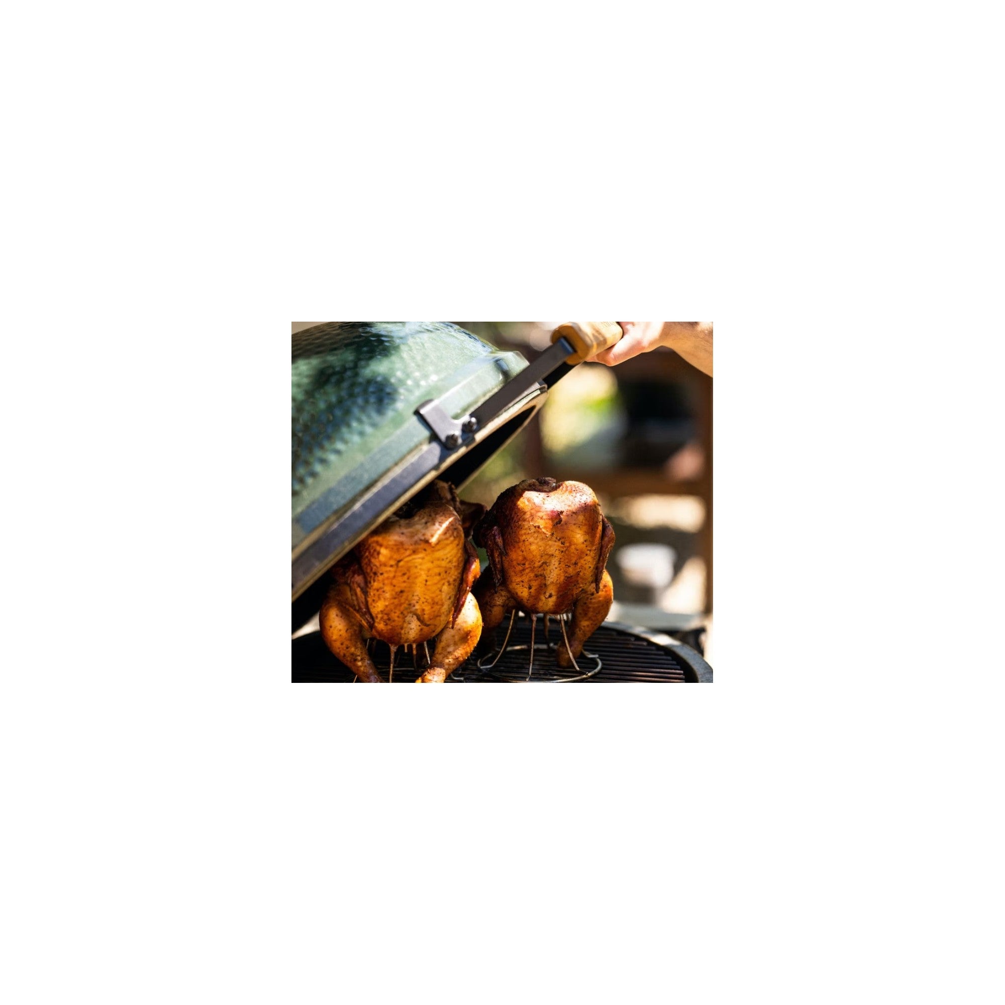 Big Green Egg Držák na krůtu