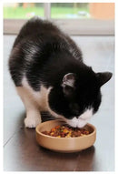 MASON CASH Pet Cane CM Cat miska pro kočky 13 cm krémová