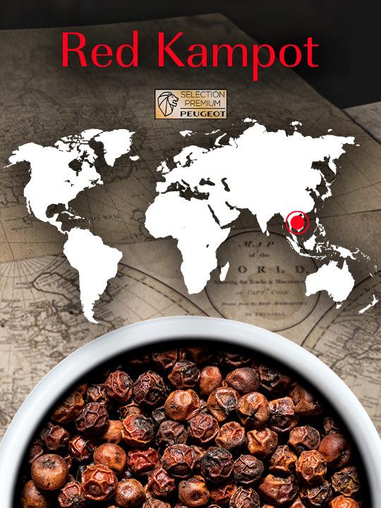 Peugeot Premium Kampot červený pepř 60 g ( 3x20 g) 42479