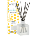 Maison Berger Paris Citronella/Citronela difuzér s náplní kostka 0,1l 7907