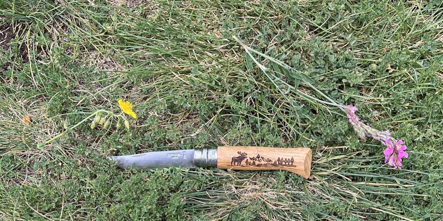 Opinel VRI N°08 Inox Animalia 2023  motiv los 002627