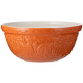 Mason Cash Pumpkin mixing bowl S12 mísa 29cm 4l oranžová  0218.627